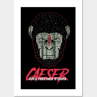 Caeser Posters and Art